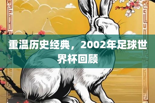 重温历史经典，2002年足球世界杯回顾