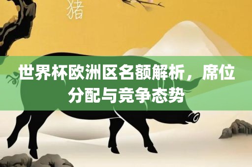 世界杯欧洲区名额解析，席位分配与竞争态势