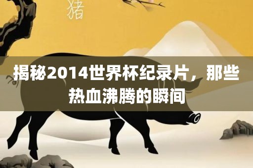 揭秘2014世界杯纪录片，那些热血沸腾的瞬间