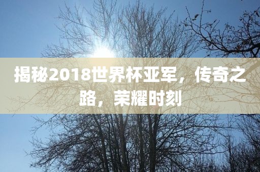 揭秘2018世界杯亚军，传奇之路，荣耀时刻