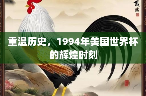 重温历史，1994年美国世界杯的辉煌时刻眉山市正发家政服务有限公司
