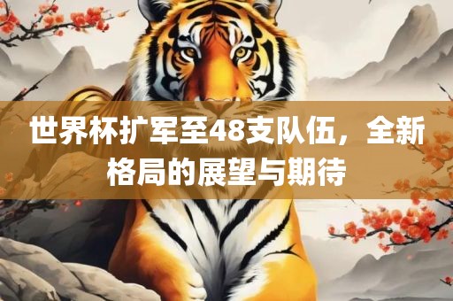 世界杯扩军至48支队伍，全新格局的展望与期待眉山市正发家政服务有限公司