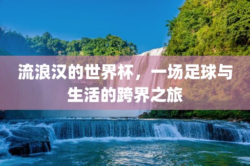 流浪汉的世界杯眉山市正发家政服务有限公司，一场足球与生活的跨界之旅