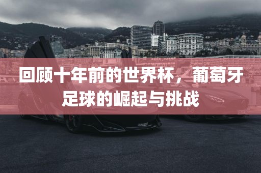 回顾十年前的世界杯，葡萄牙足球的崛起与挑战眉山市正发家政服务有限公司