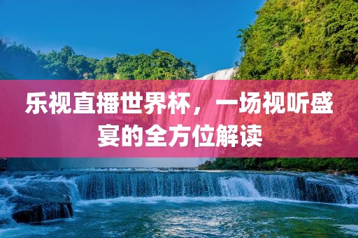 乐视直播世界杯，一场视听盛宴的全方位解读