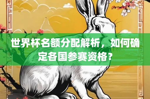 世界杯名额分配解析，如何确定各国参赛资格？