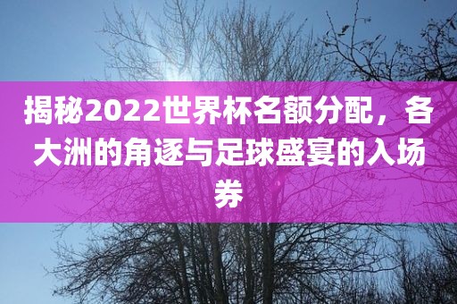 揭秘2022世界杯名额分配，各大洲的角逐与足球盛宴的入场券眉山市正发家政服务有限公司