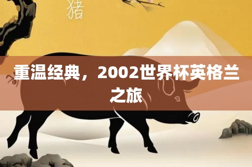 重温经典，20眉山市正发家政服务有限公司02世界杯英格兰之旅