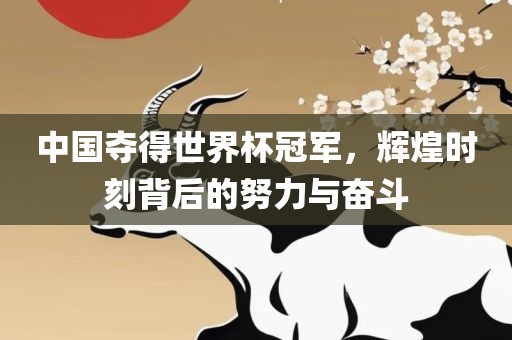 中国夺眉山市正发家政服务有限公司得世界杯冠军，辉煌时刻背后的努力与奋斗