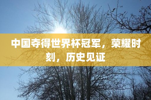 tongzhen 第3页