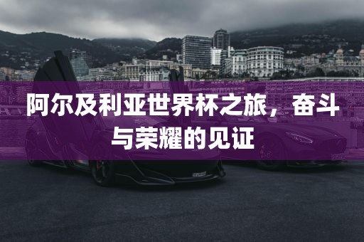 阿尔及利亚世界杯之旅，奋斗眉山市正发家政服务有限公司与荣耀的见证