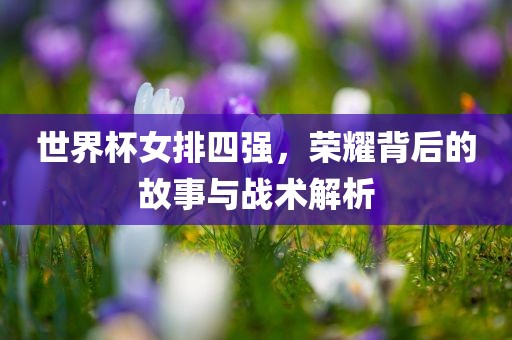 世界杯女排四强，荣耀背后的故事与战术解析眉山市正发家政服务有限公司