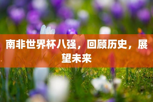 南非世界杯八强，回顾历史，展望未来