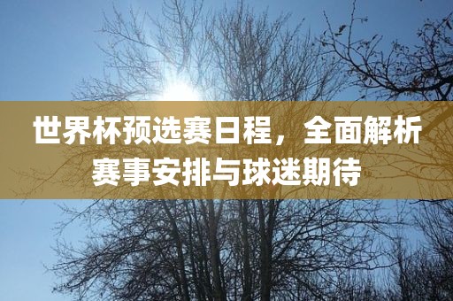 世界杯预选赛日程，全面解析赛事安排与球迷期待