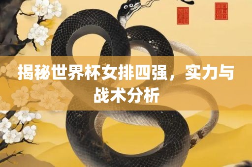 揭秘世界杯女排四强，实力与战术分析眉山市正发家政服务有限公司