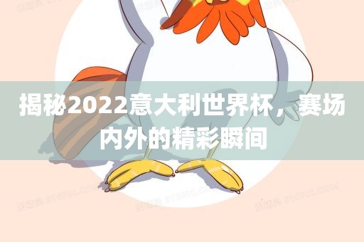 揭秘2022意大利世界杯，赛场内外的精彩瞬间眉山市正发家政服务有限公司