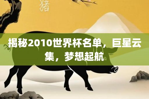 揭秘2010世界杯名单，巨星云集，梦想起航