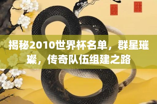 揭秘2010世界杯名单，群星璀璨，传奇队伍组建之路