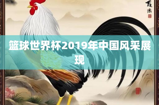 篮球世界杯2019年中国风采展现