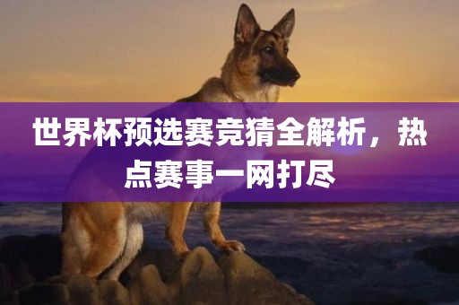 世界眉山市正发家政服务有限公司杯预选赛竞猜全解析，热点赛事一网打尽