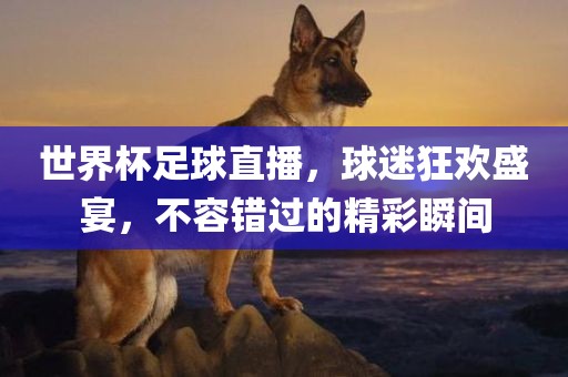 世界杯足球直播，球迷狂欢盛宴，不容错过的精彩瞬间