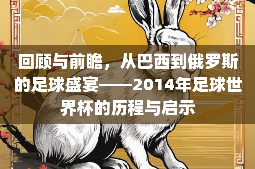 回顾与前瞻，从巴西到俄罗斯的足球盛宴——2014年足球世界杯的历程与启示