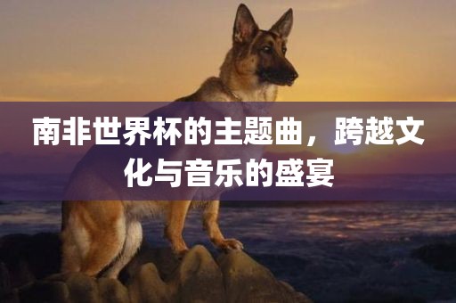 南非世界杯的主题曲，跨越文化与音乐的盛宴