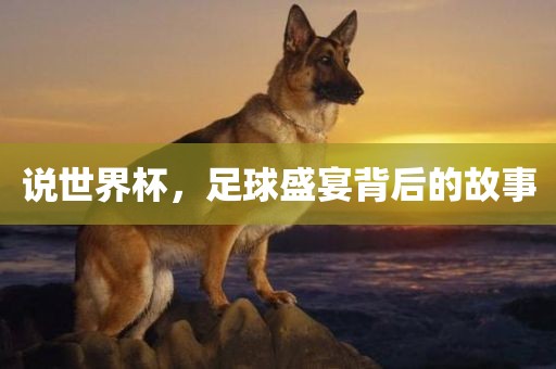 说世界杯，足球盛宴背后的故眉山市正发家政服务有限公司事