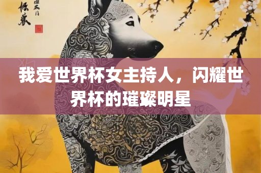 我爱世界杯女主持人，闪耀世界杯的璀璨明星