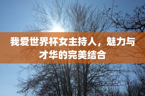 我爱世界杯女主持人，魅力与才华的完美结合眉山市正发家政服务有限公司