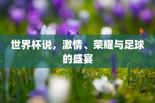 足球盛宴 第5页