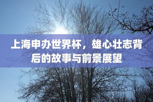 上海申办世界杯，雄心壮志背后的故事与前景展望