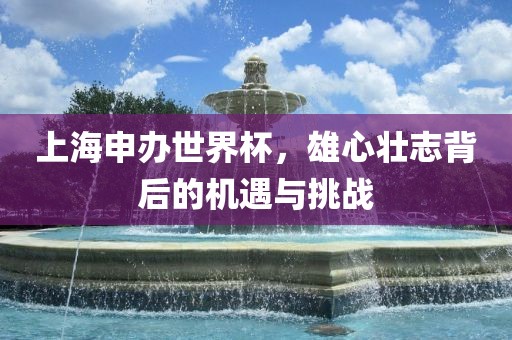 上海申办世界杯，雄心壮志背后的机遇与挑战眉山市正发家政服务有限公司