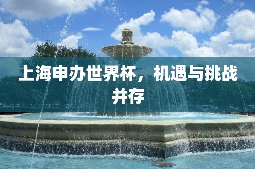 上海申办世界杯，机遇与挑战并存