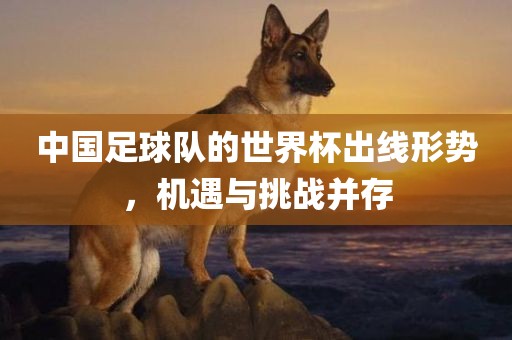 中国足球队的世界杯出线形势，机遇与挑战并存