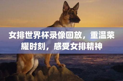 女排世界杯录像回放，重温荣耀时刻，感受女排精神眉山市正发家政服务有限公司