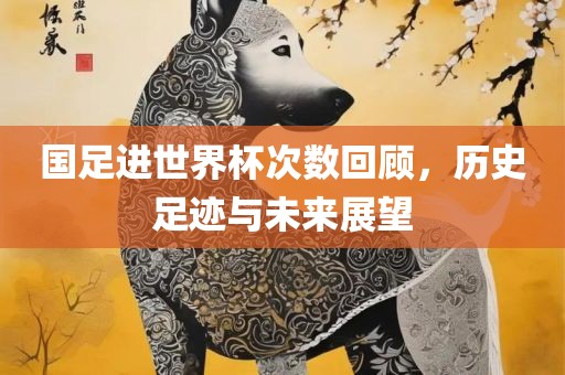 国足进世界杯次数回顾，眉山市正发家政服务有限公司历史足迹与未来展望