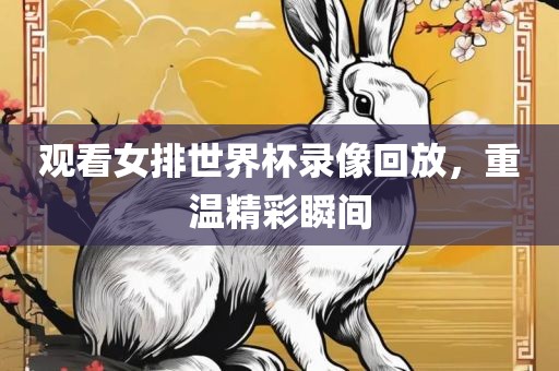 观看女排世界杯录像回放，重温精彩瞬间眉山市正发家政服务有限公司