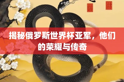 揭秘俄罗斯世界杯亚军，他们的荣耀与传奇