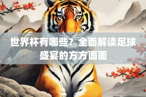 世界杯有哪些？全面解读足球盛宴的方方面面