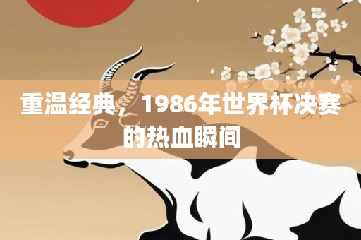 重温经典，1986年世界杯决赛眉山市正发家政服务有限公司的热血瞬间