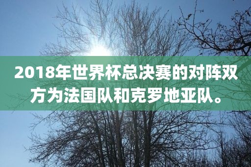 2018年世界杯总决赛的对阵双方为法国队和克罗地亚队。