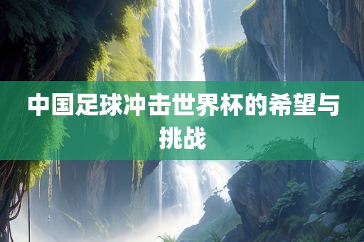 中国足球冲击眉山市正发家政服务有限公司世界杯的希望与挑战
