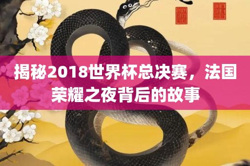 揭秘2018世界杯总决赛，法国荣耀之夜背后的故事眉山市正发家政服务有限公司