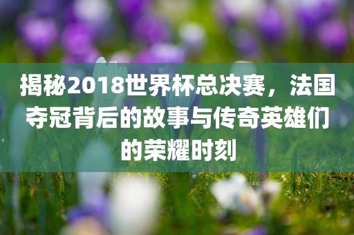 揭秘2018世界杯总决赛，法国夺冠背后的故事与传奇英雄们的荣耀时刻眉山市正发家政服务有限公司