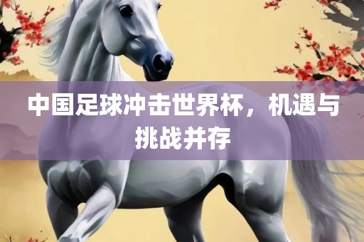 中国足球冲击世界杯，机遇与挑战并存眉山市正发家政服务有限公司