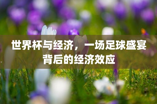 世界杯与经济，一场足球盛宴背后的经济效应