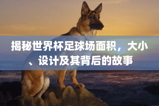 揭秘世界杯足球场面积，大小、设计及其背后的故事