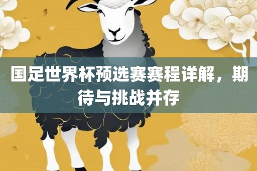 国足世界杯预选赛赛程详解，期待与挑战并存
