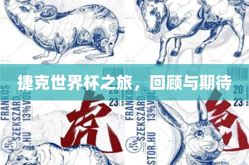 捷克世界杯之旅，回顾与期待